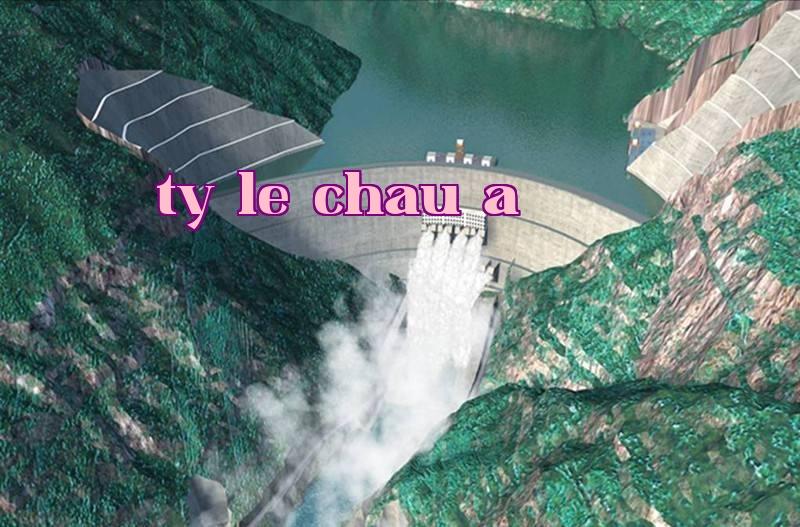 Công ty Phát triển Điện lực Đại Cương Sơn, sông Đa Phúc, Tập đoàn Quốc Điện