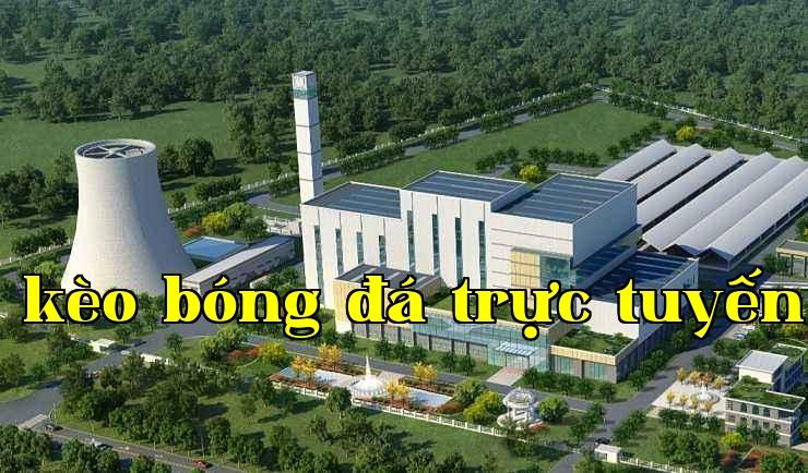 Công ty TNHH Năng lượng Mặt trời Trung Quốc Ninh Hạ